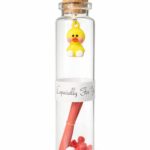Cute Message Bottle Gift – NFC