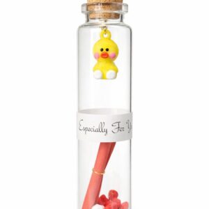 Cute Message Bottle Gift - NFC