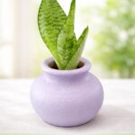Cute Lilac Planter – Eco-Friendly Handcrafted Pot for Stylish Home Décor