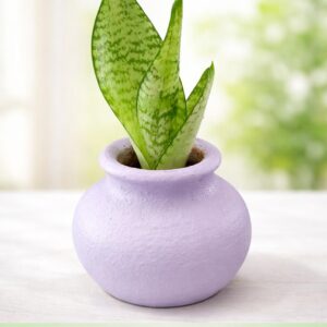 Cute Lilac Planter – Eco-Friendly Handcrafted Pot for Stylish Home Décor