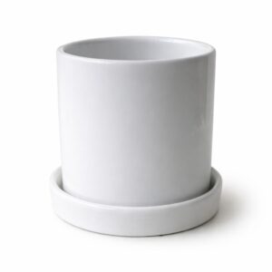Minimal White Ceramic Planter with Tray