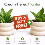 Cream Tiered Planter with Snake Plant – Buy 1 Get 1 Free Offer