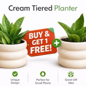 Cream Tiered Planter with Snake Plant – Buy 1 Get 1 Free Offer