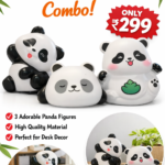 Cute panda combo set